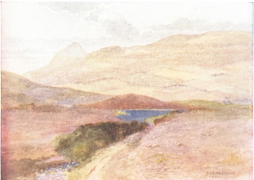 Dungoyne